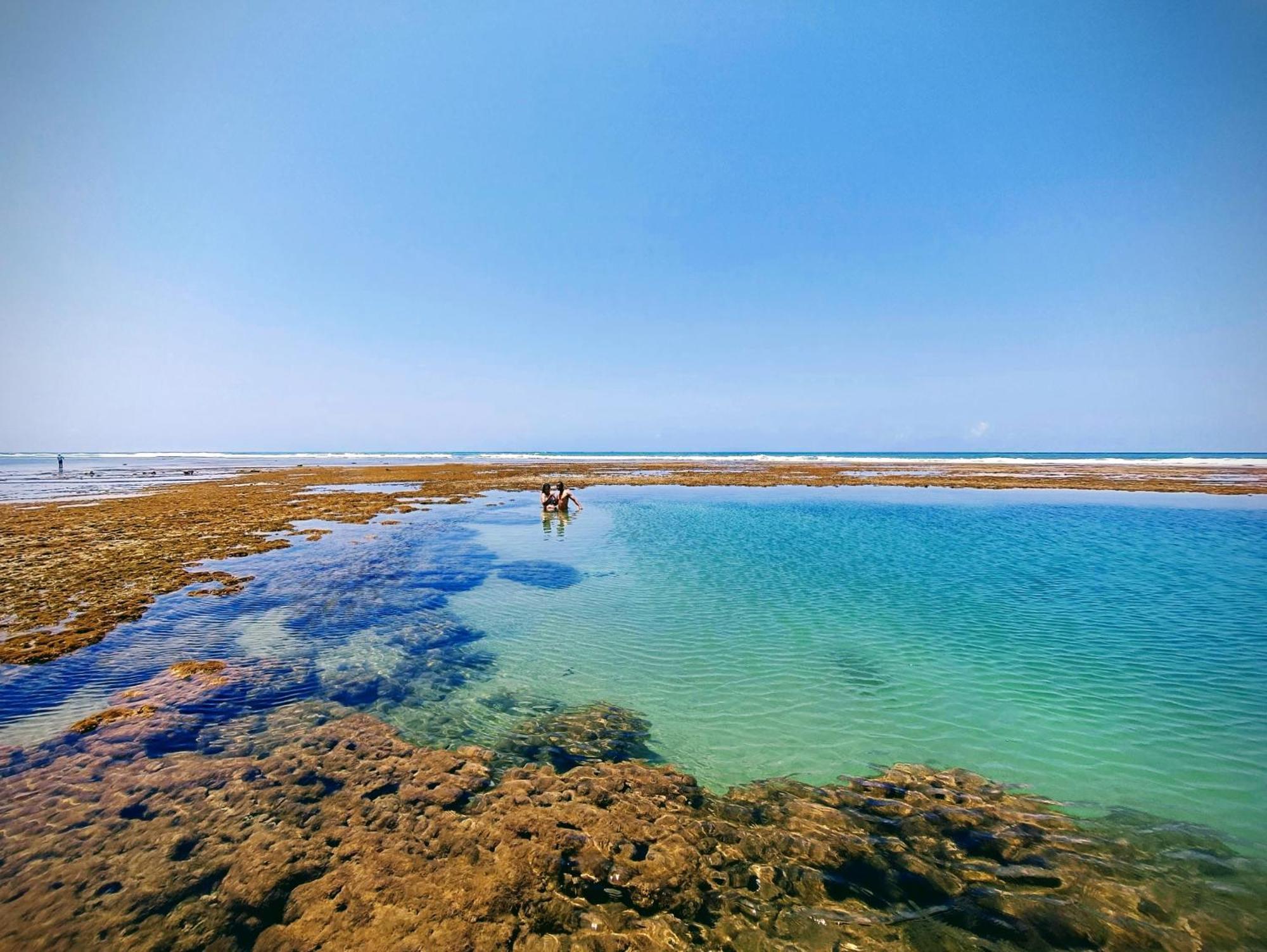 Piscinas Naturais De Praia Do Forte Luaran gambar